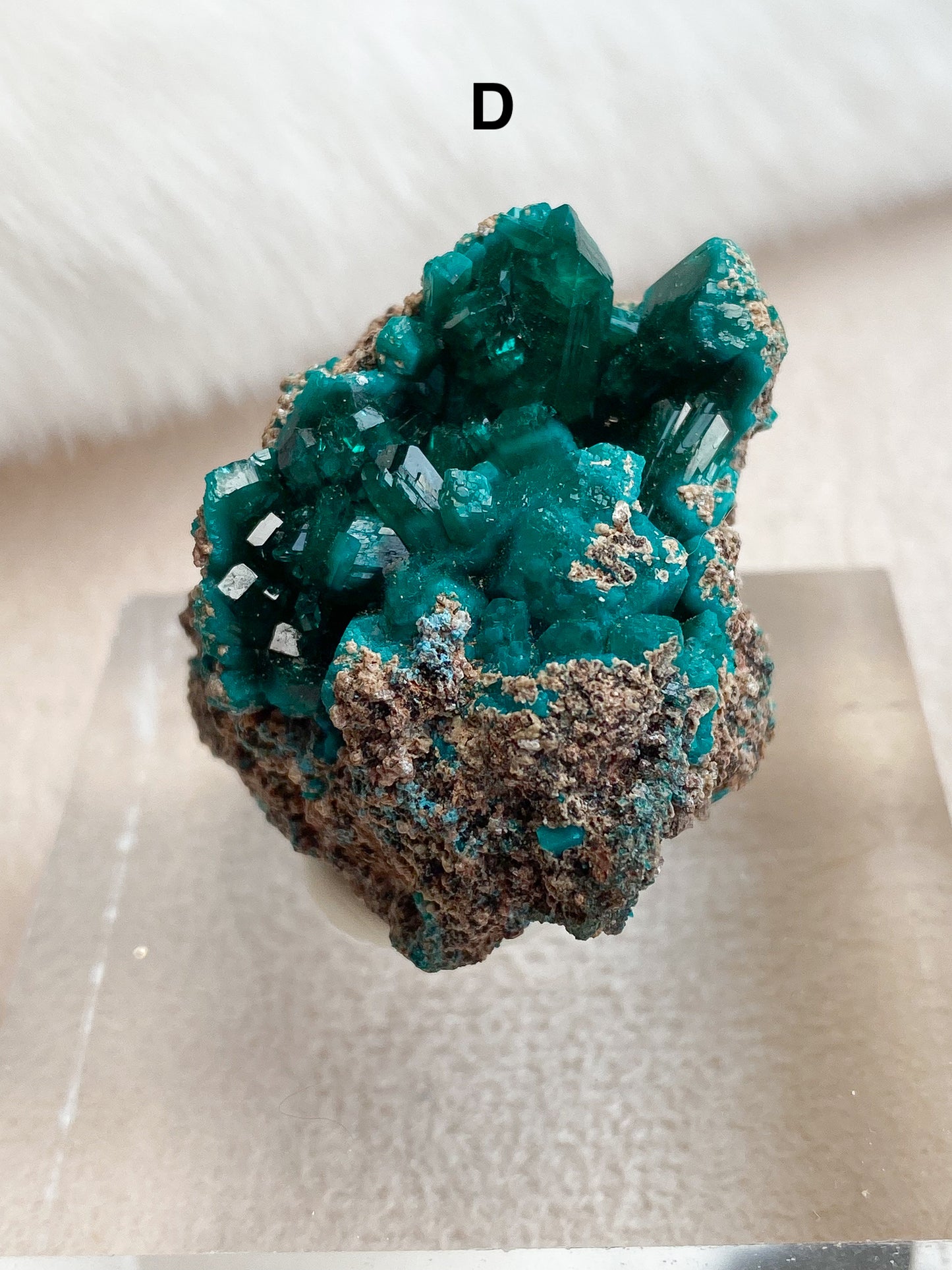 Dioptase Specimens - You Choose