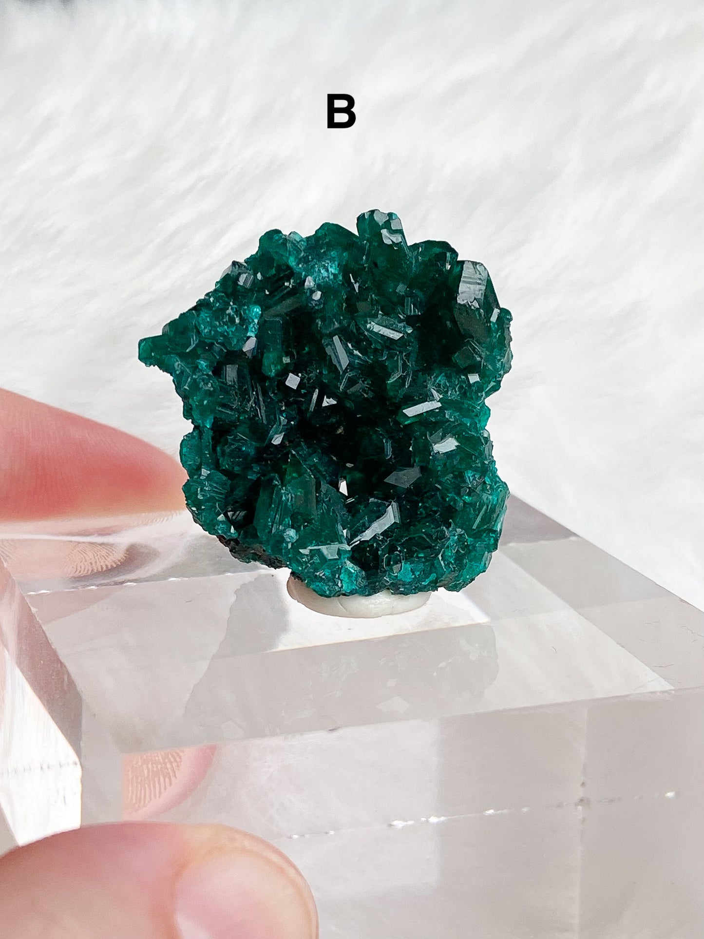 Dioptase Specimens - You Choose