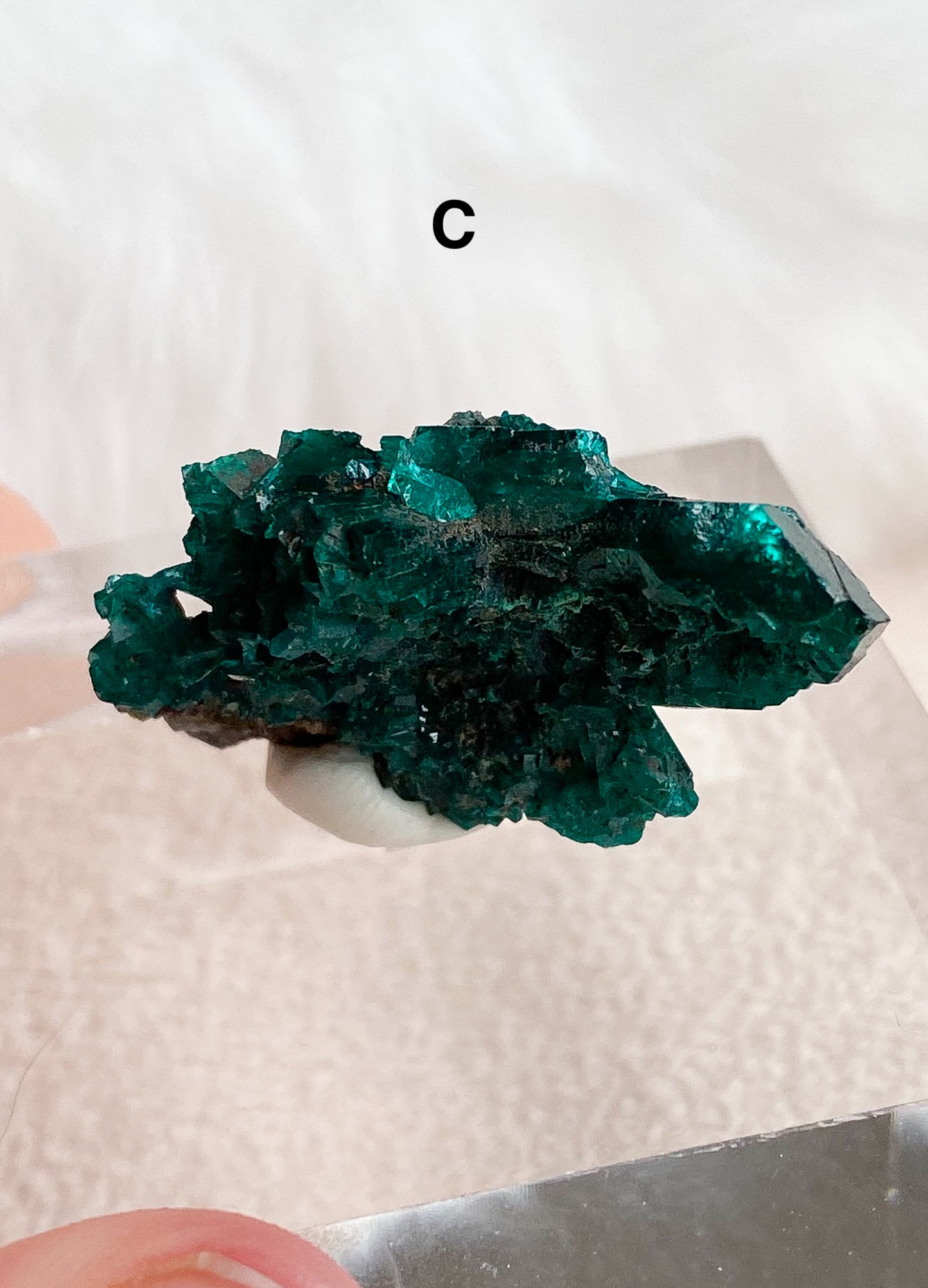 Dioptase Specimens - You Choose