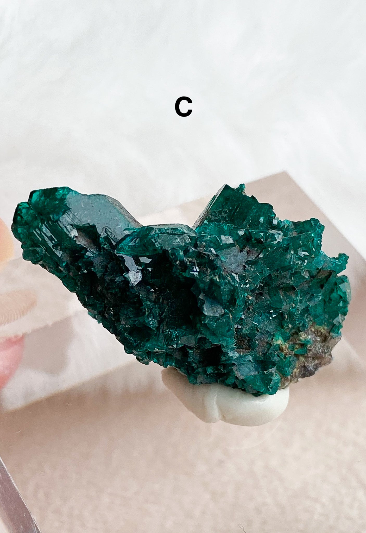 Dioptase Specimens - You Choose