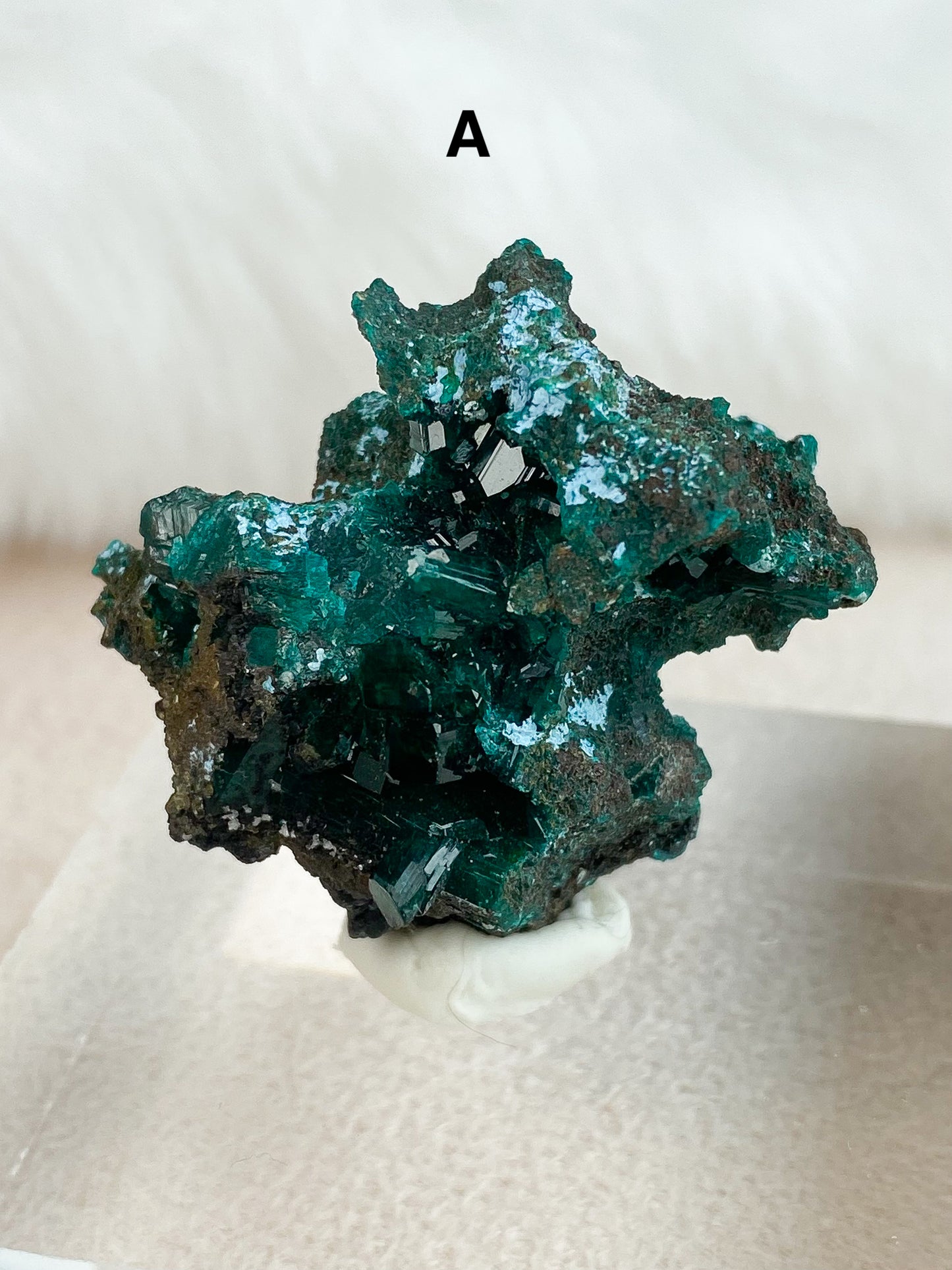 Dioptase Specimens - You Choose