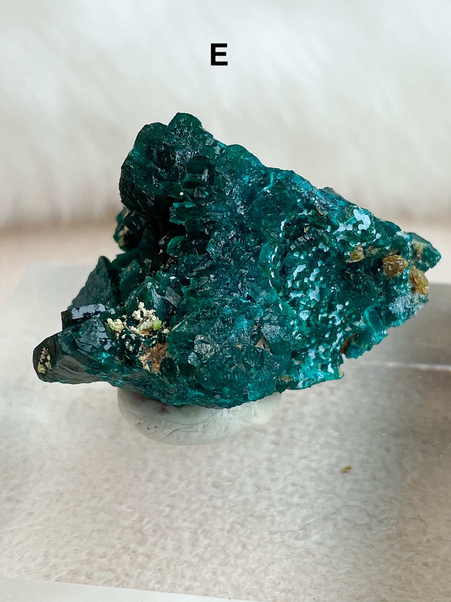 Dioptase Specimens - You Choose