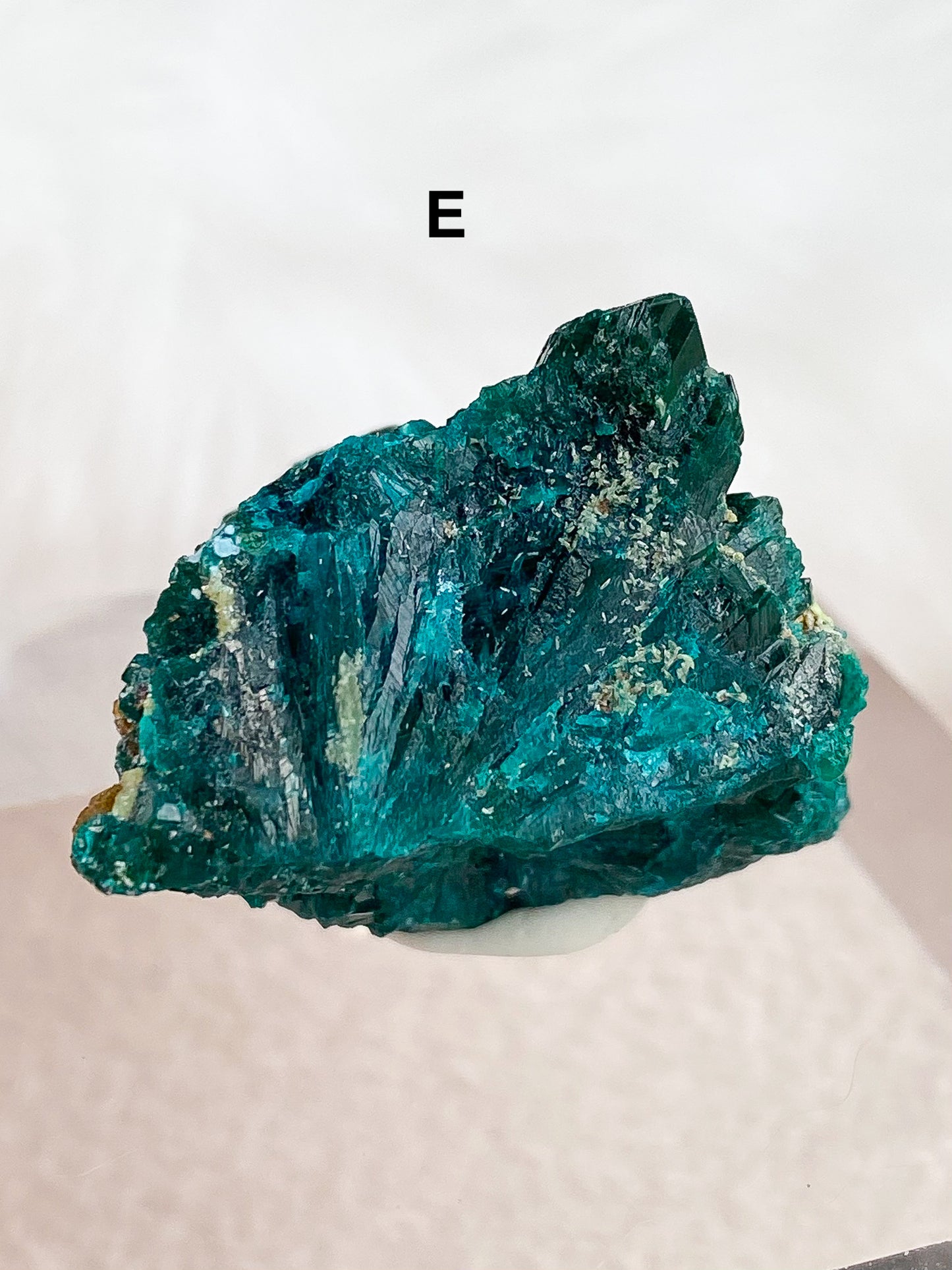 Dioptase Specimens - You Choose