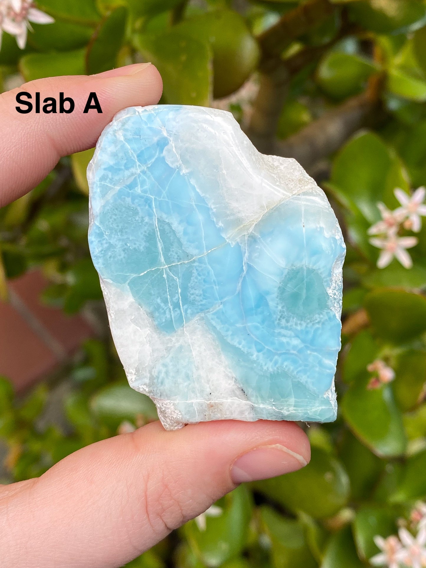 Larimar Small Slabs - You Choose