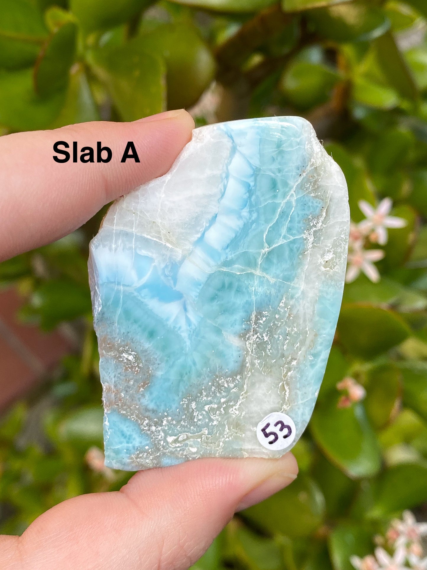 Larimar Small Slabs - You Choose