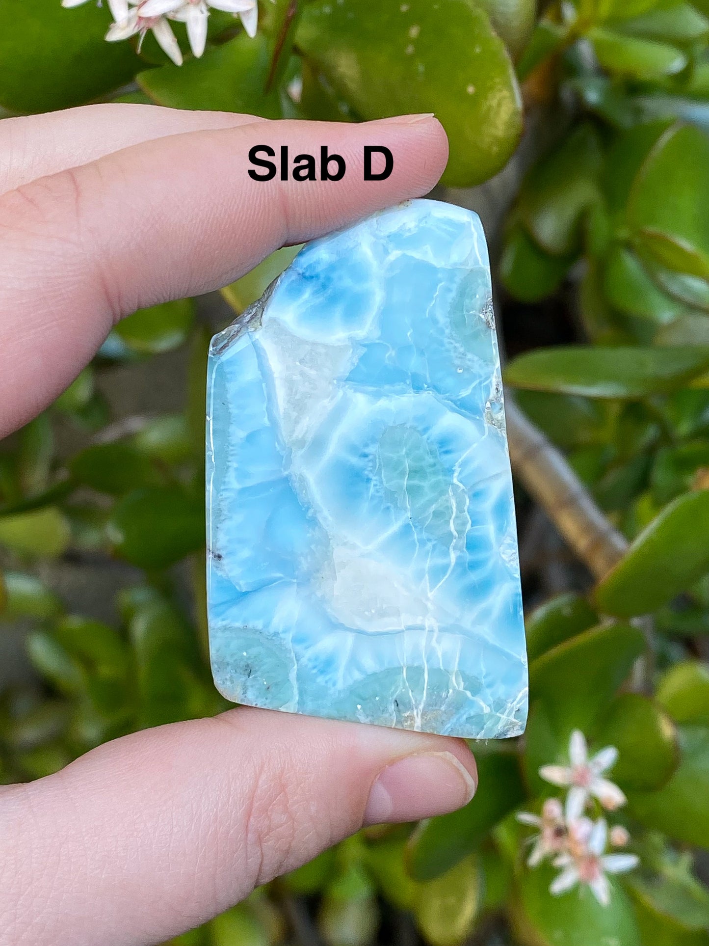 Larimar Small Slabs - You Choose