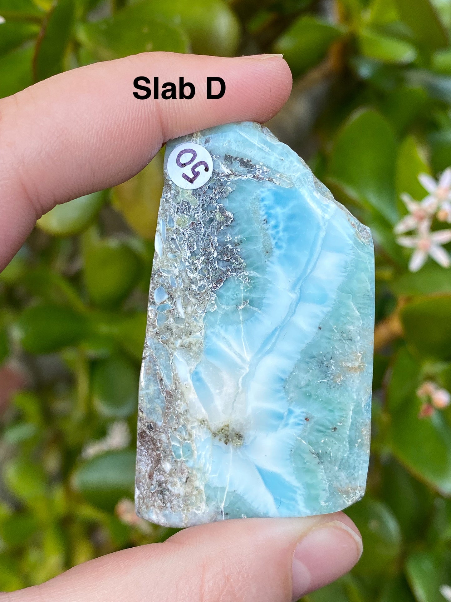 Larimar Small Slabs - You Choose