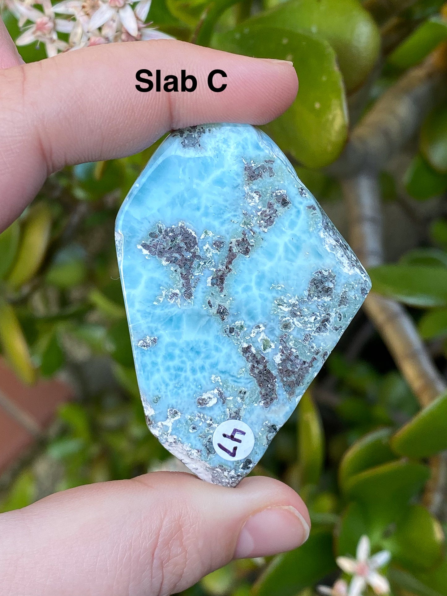 Larimar Small Slabs - You Choose