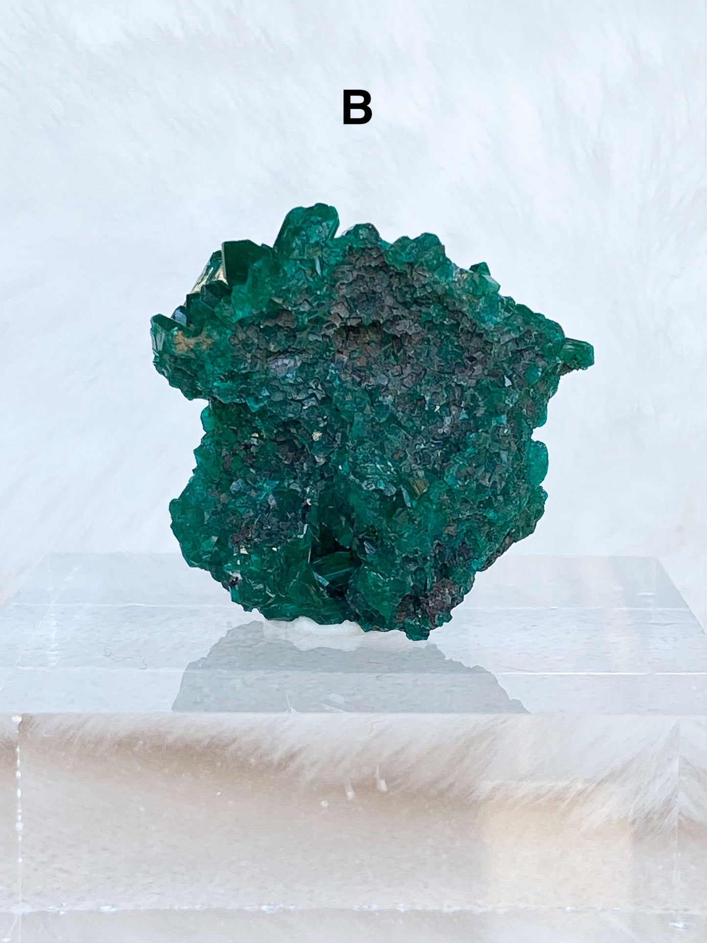 Dioptase Specimens - You Choose