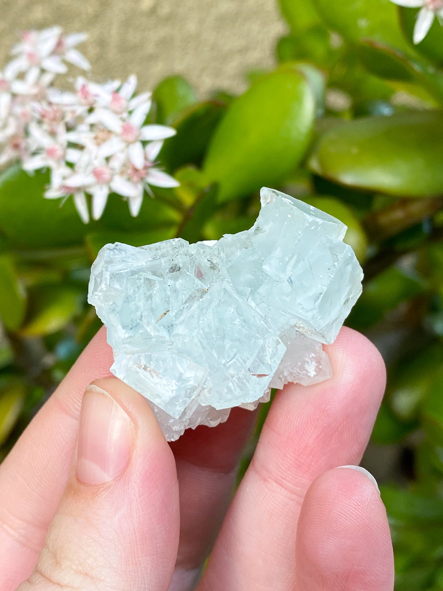 Xianghualing Cubic Fluorite