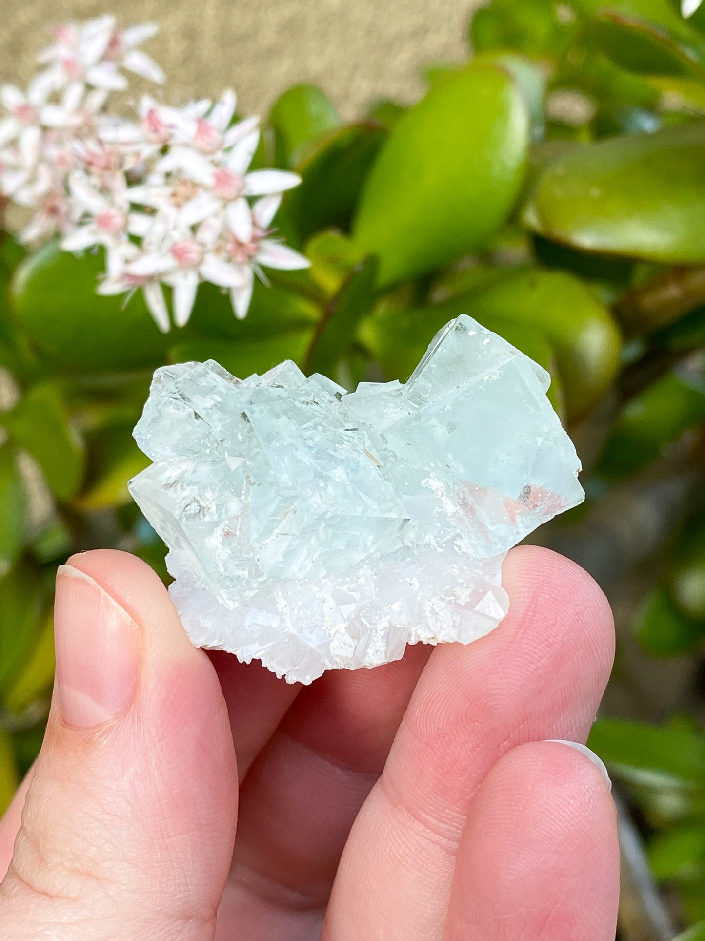 Xianghualing Cubic Fluorite