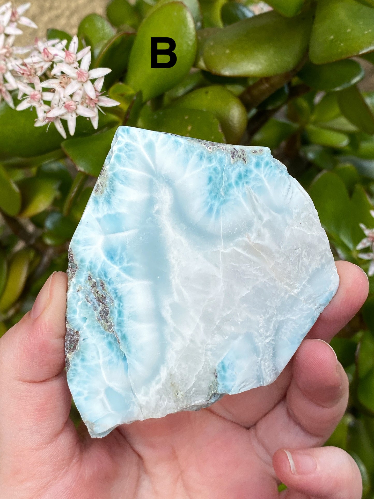 Larimar Large Slabs - You Choose