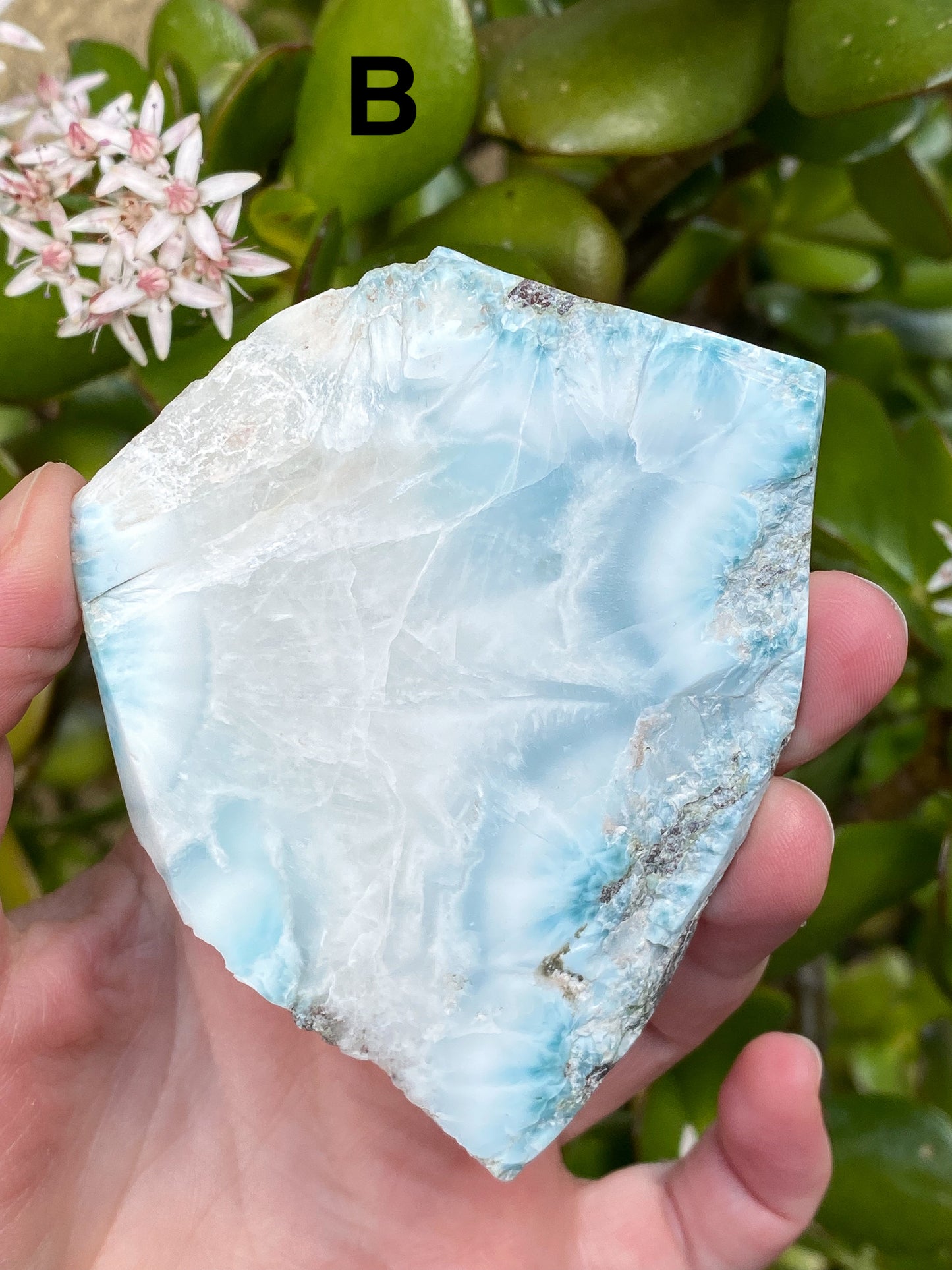 Larimar Large Slabs - You Choose