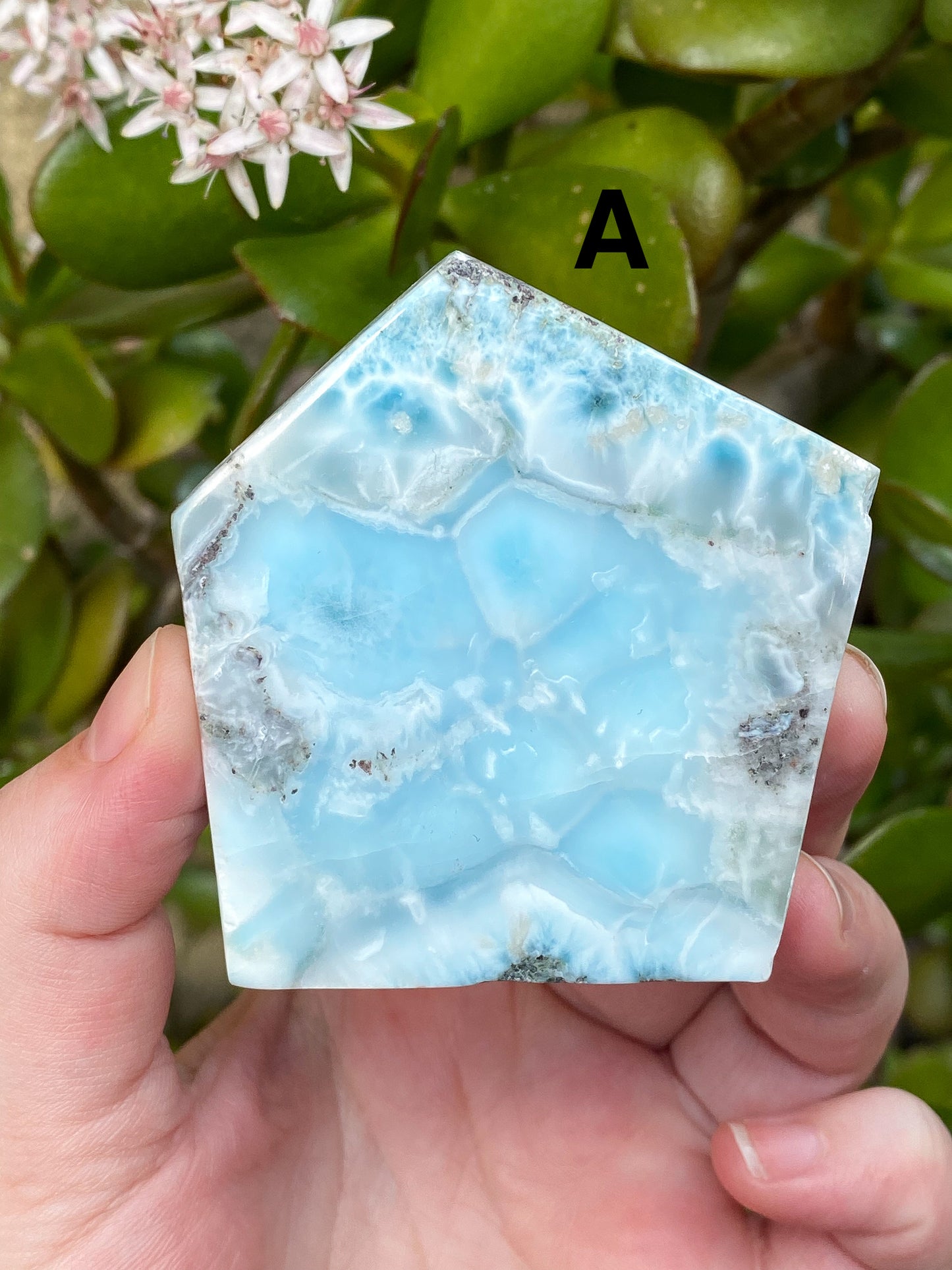 Larimar Large Slabs - You Choose