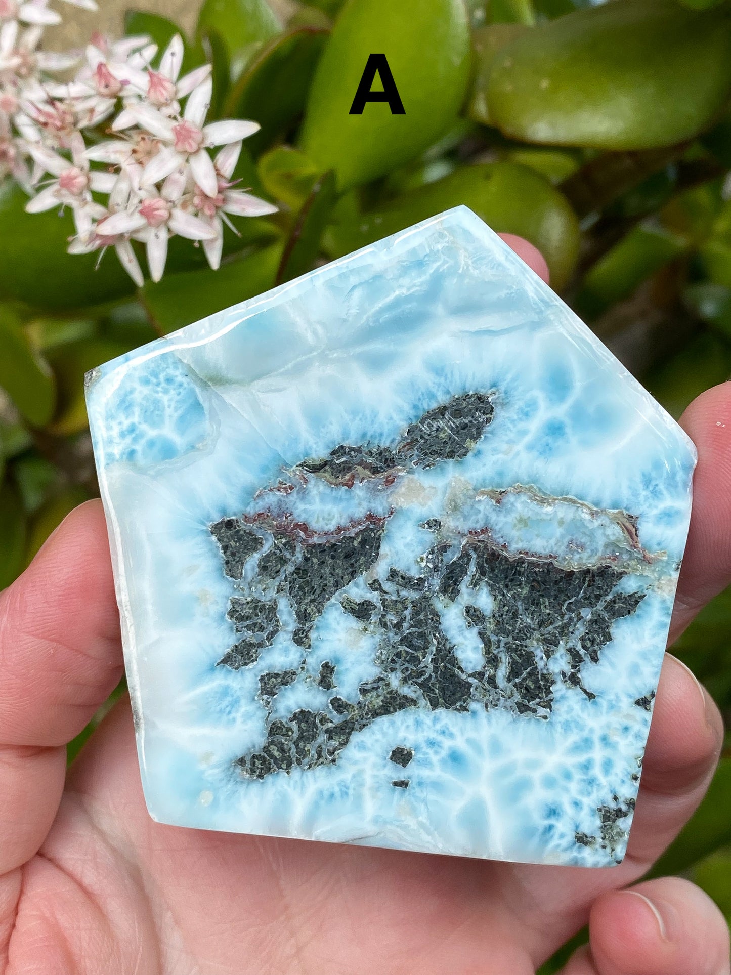 Larimar Large Slabs - You Choose