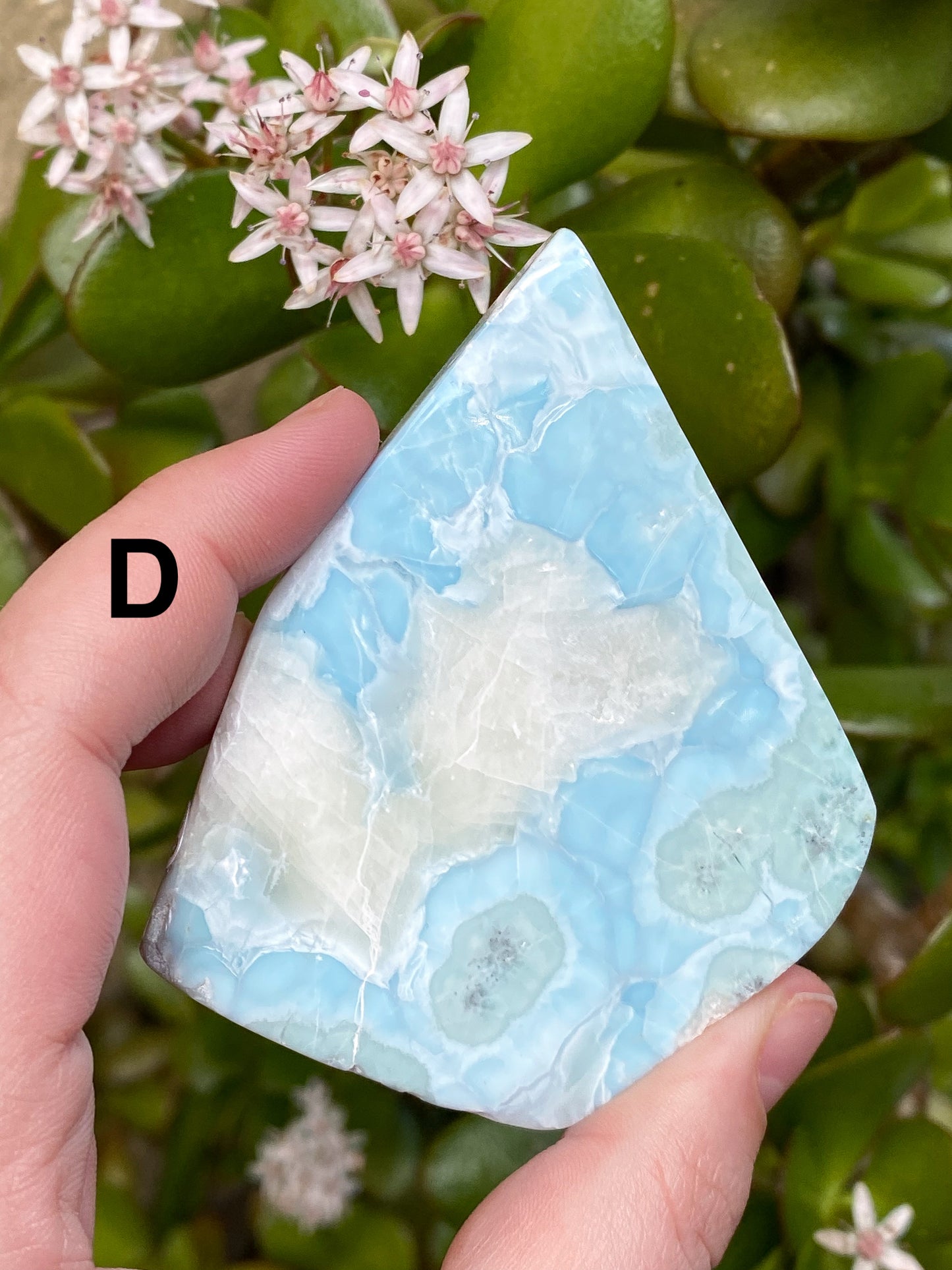 Larimar Large Slabs - You Choose