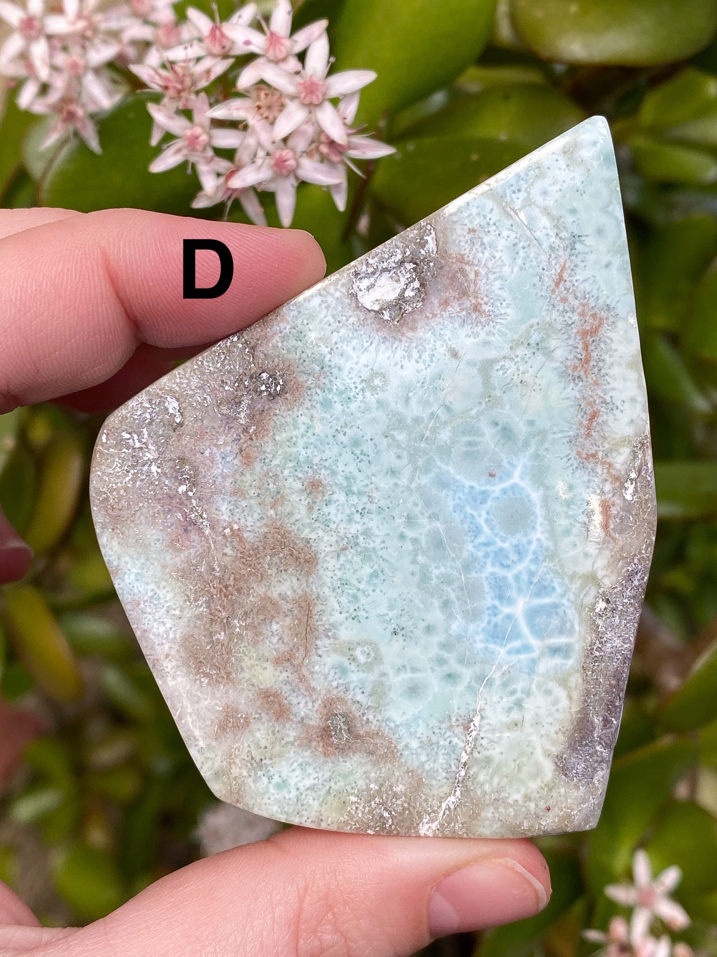 Larimar Large Slabs - You Choose