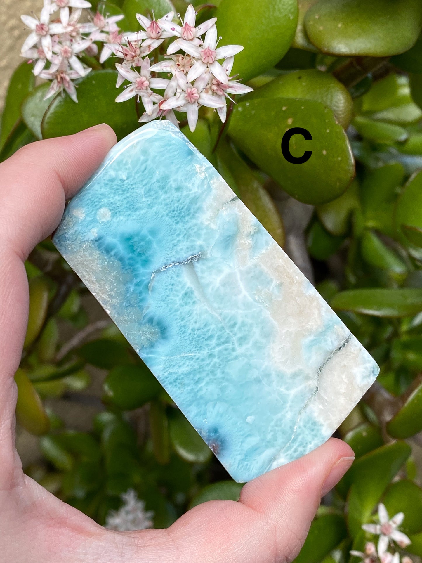 Larimar Large Slabs - You Choose