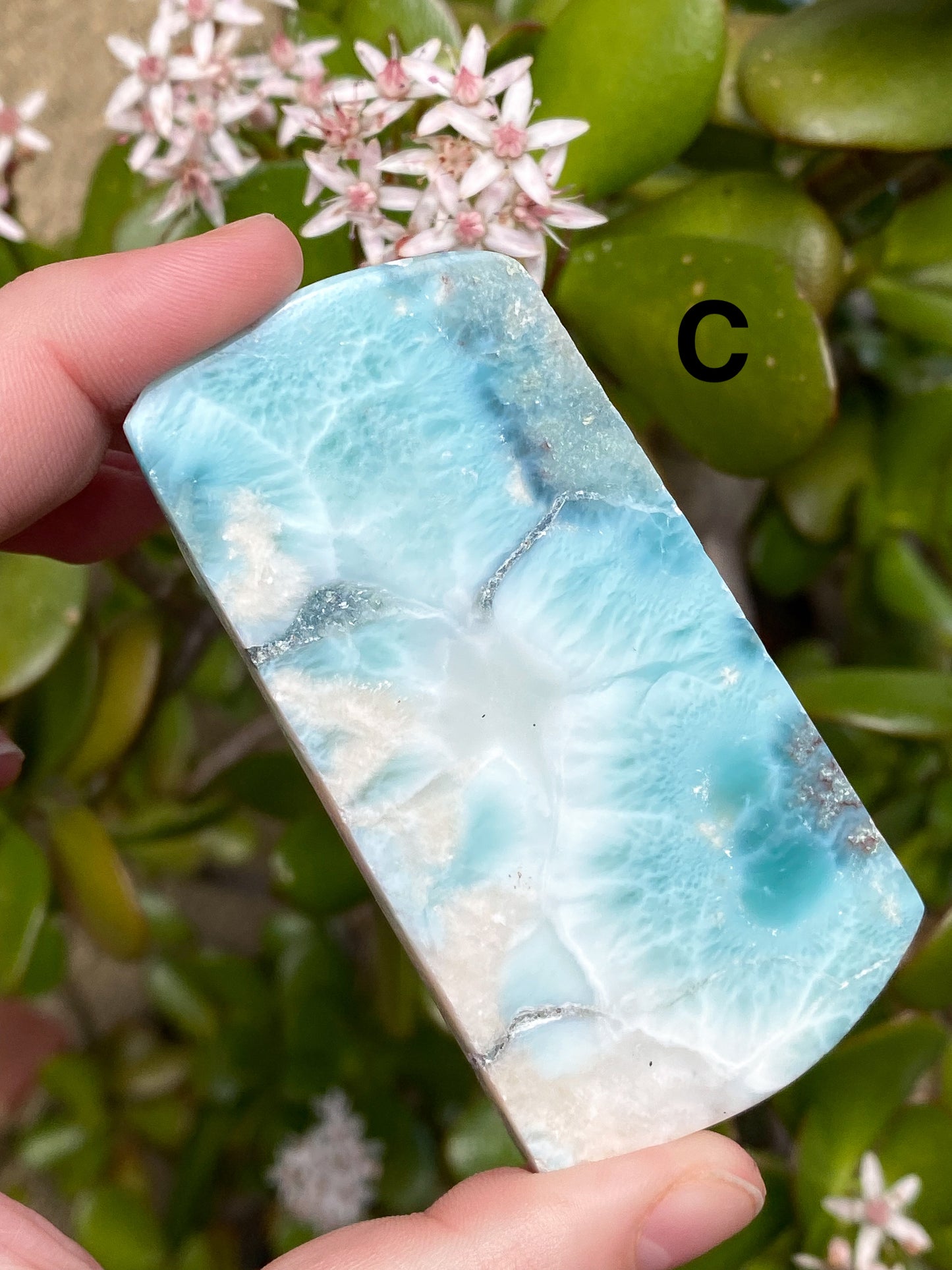 Larimar Large Slabs - You Choose