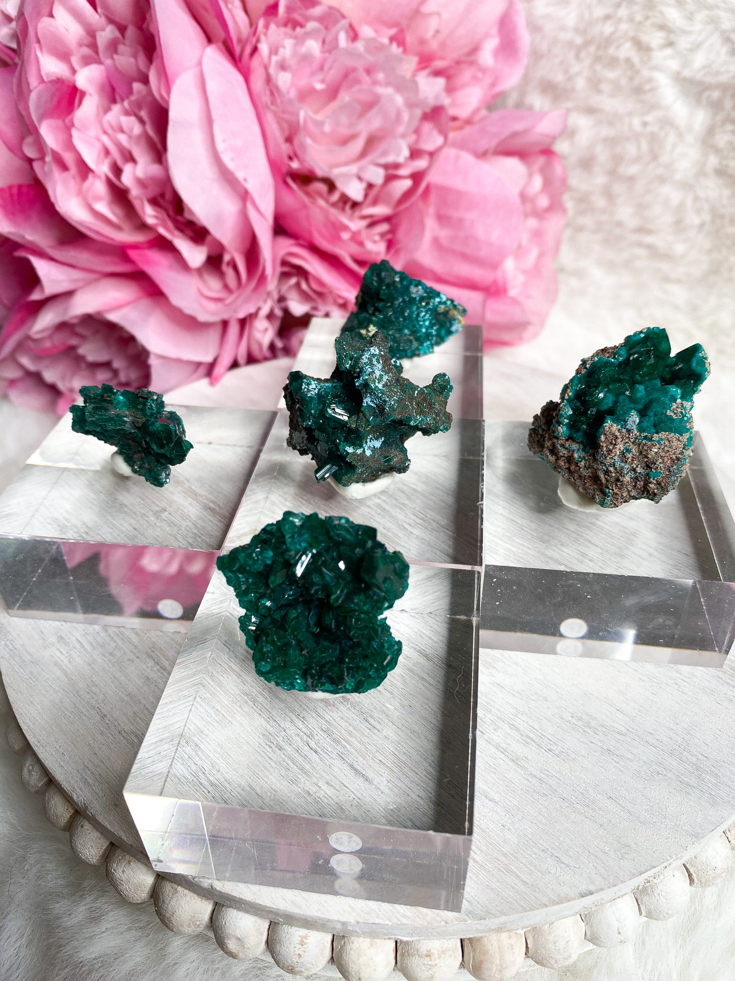 Dioptase Specimens - You Choose