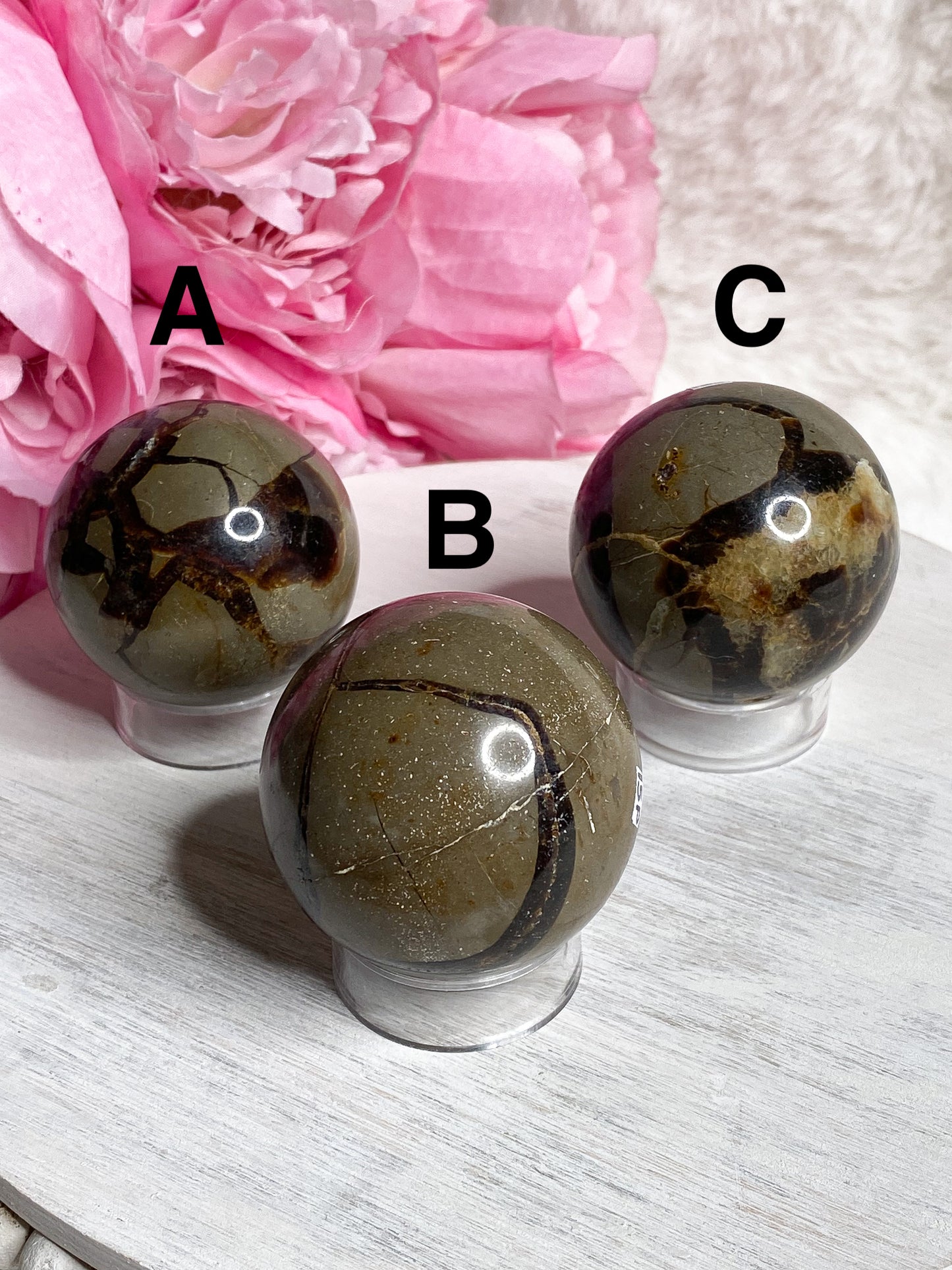 Septarian Sphere - You Choose