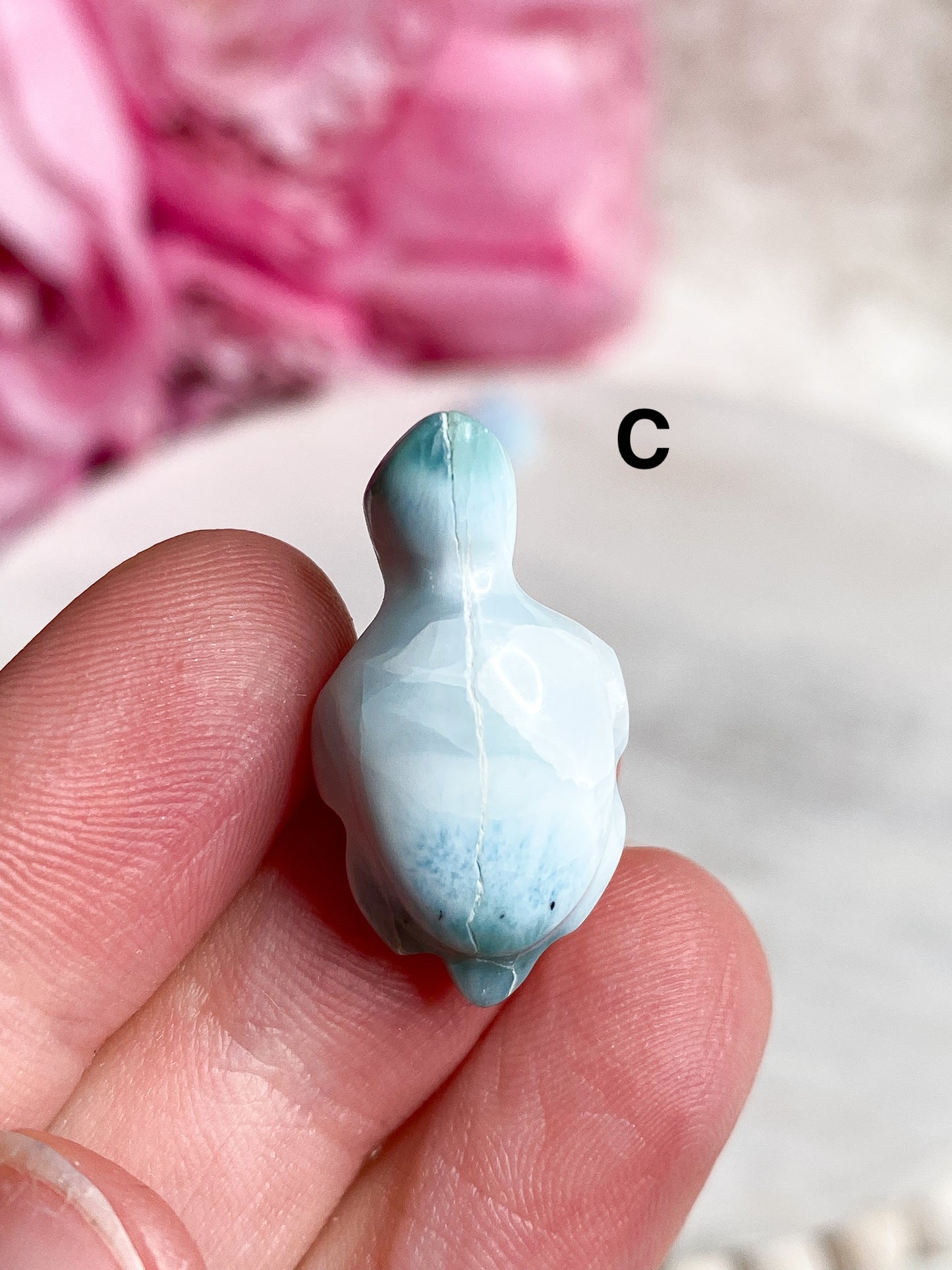 Larimar Turtle Carving