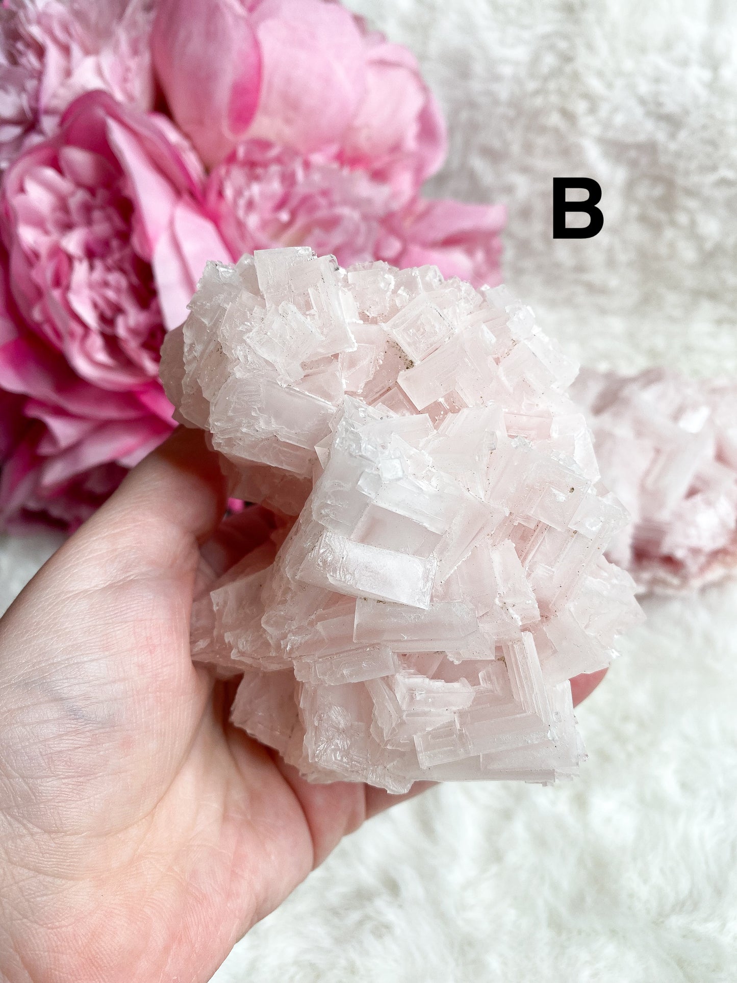 Pink Halite - You Choose