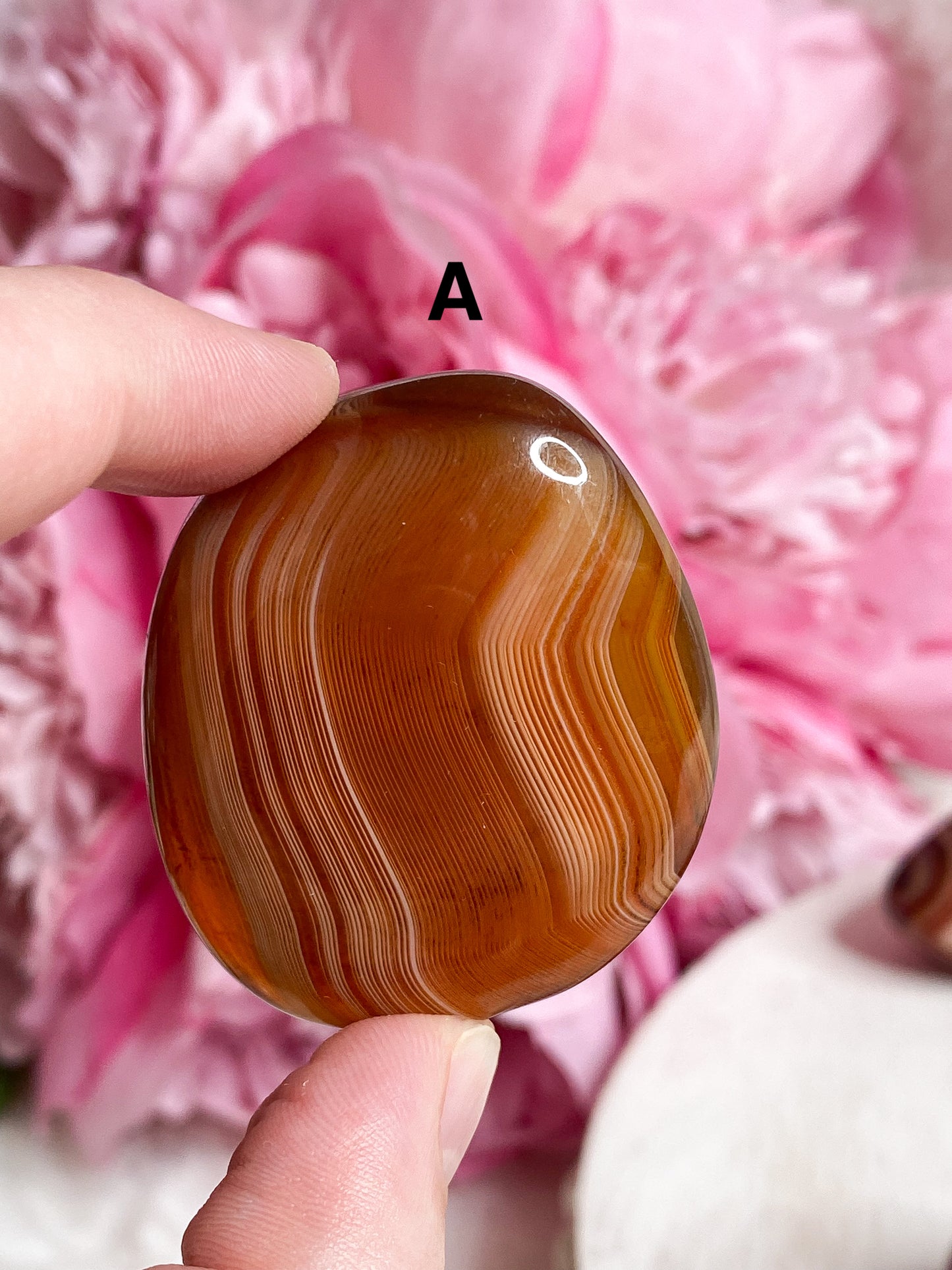 Sardonyx Palm Stone - You Choose