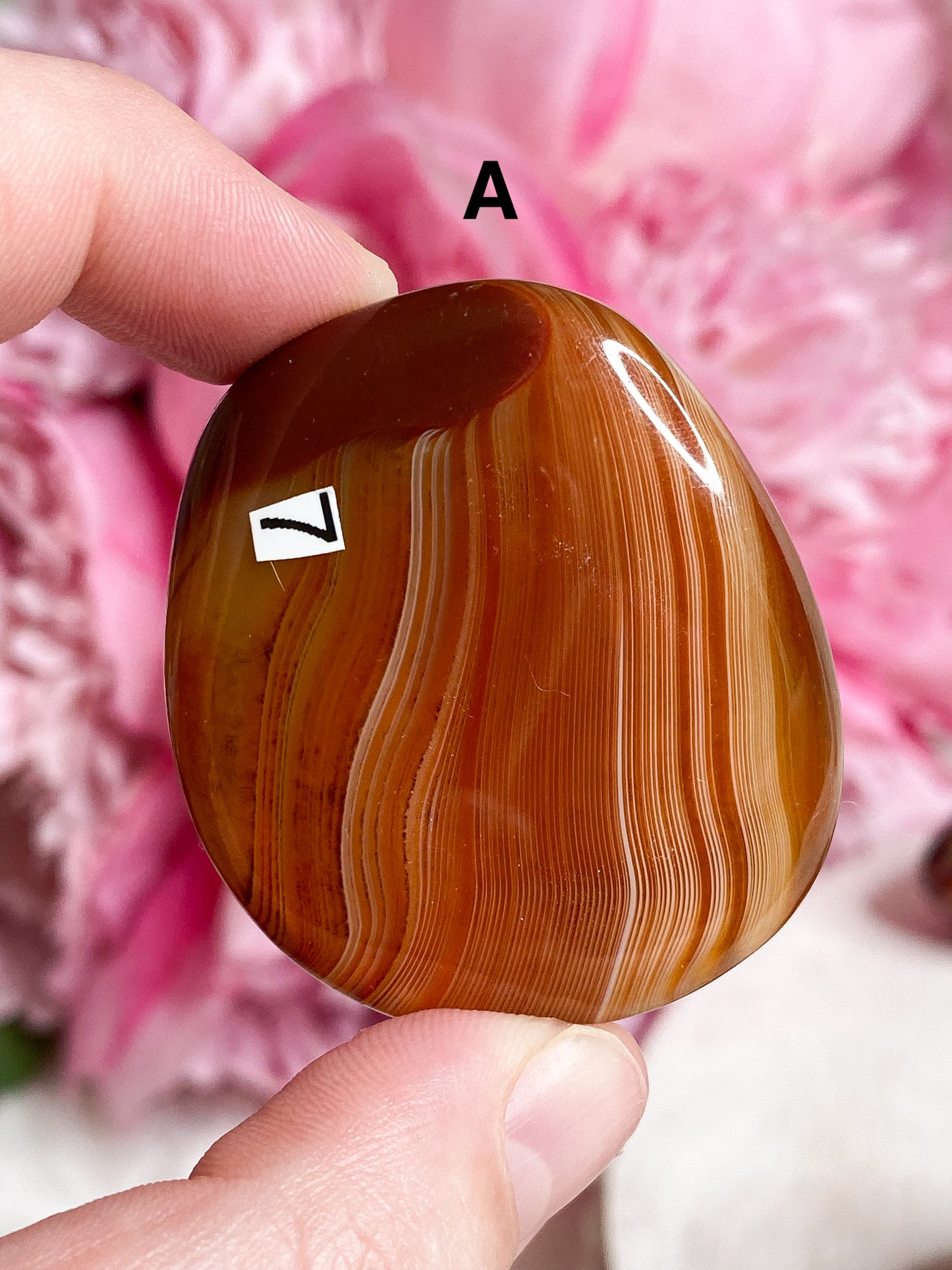 Sardonyx Palm Stone - You Choose