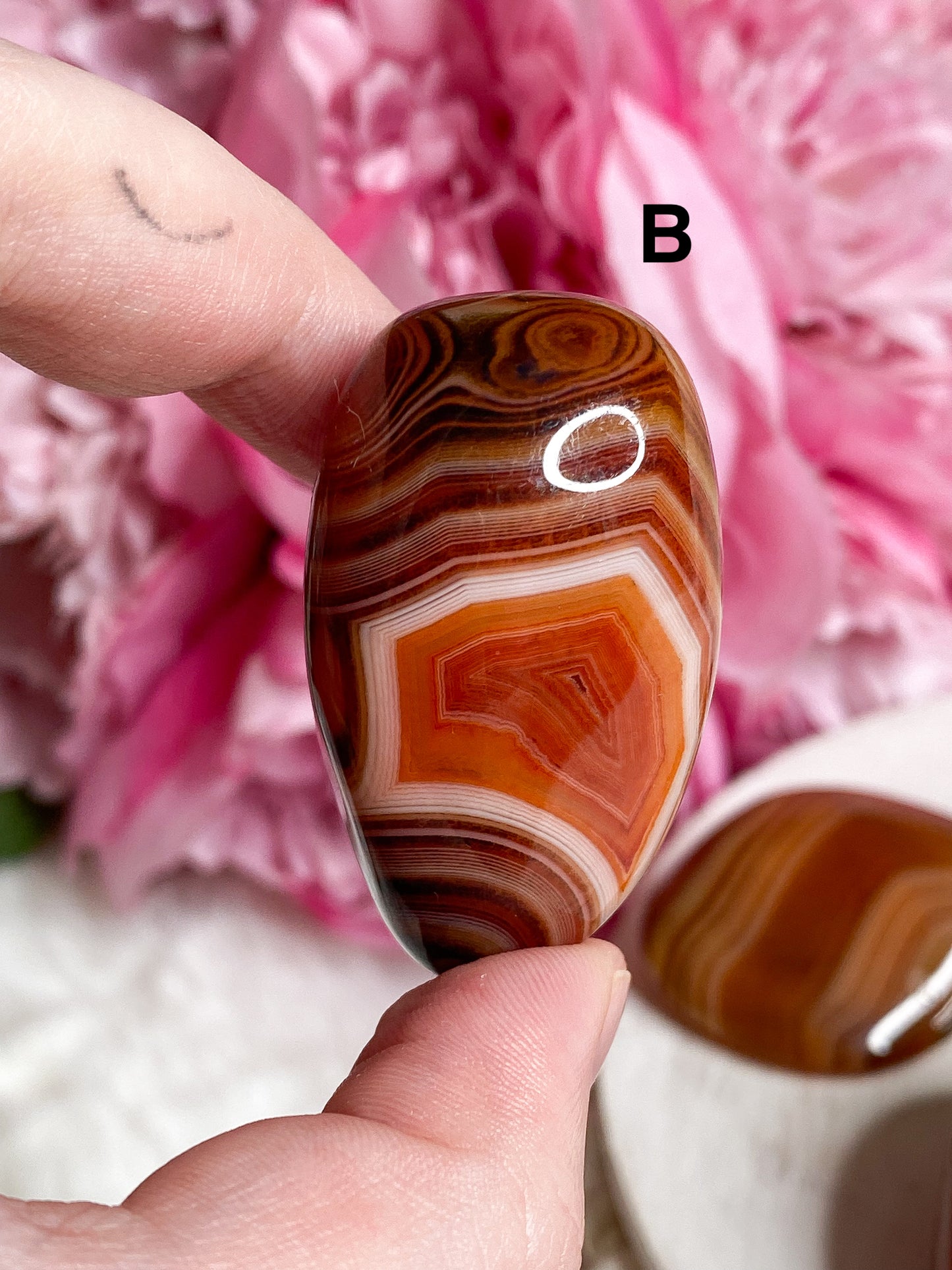 Sardonyx Palm Stone - You Choose