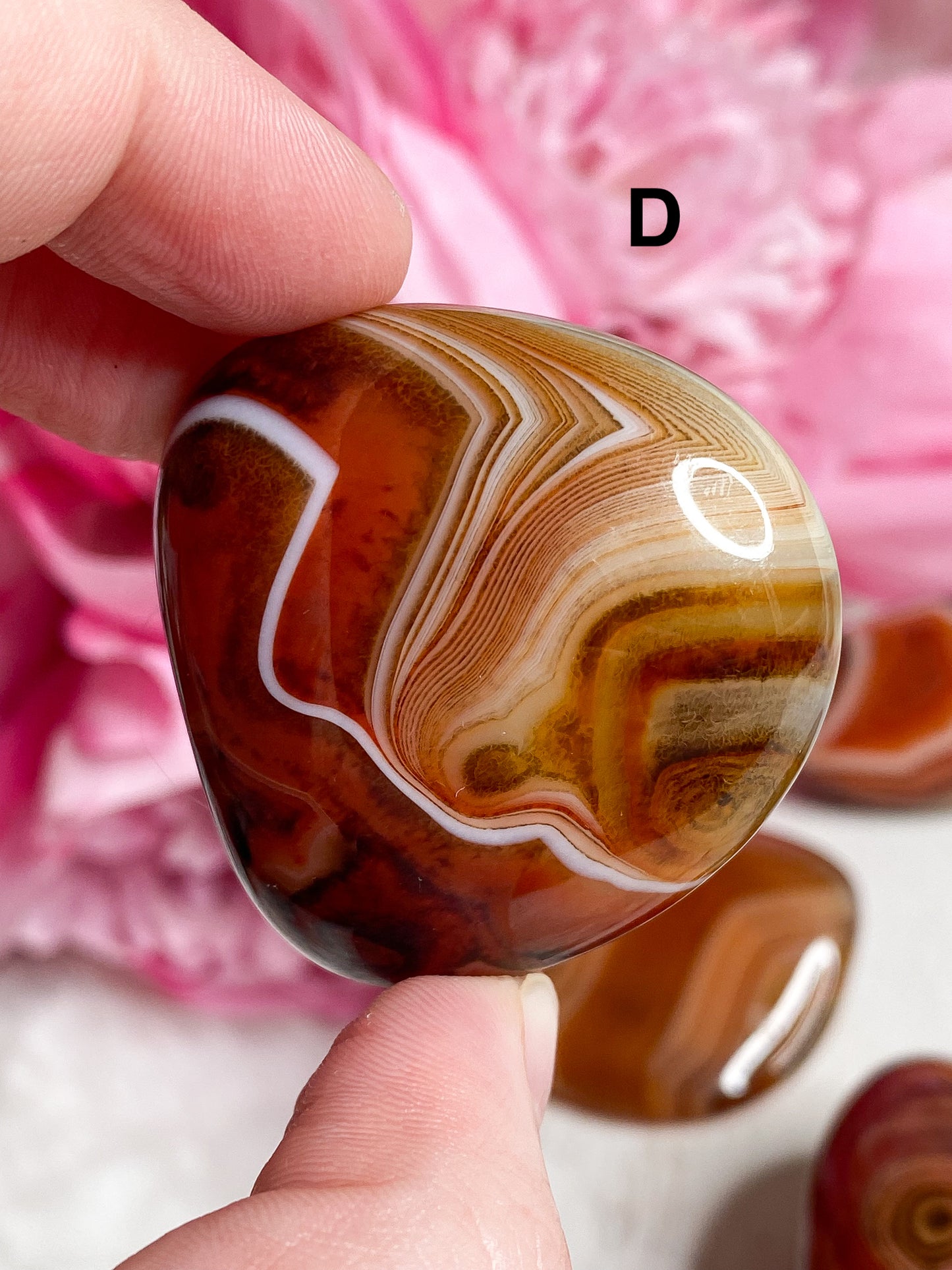 Sardonyx Palm Stone - You Choose