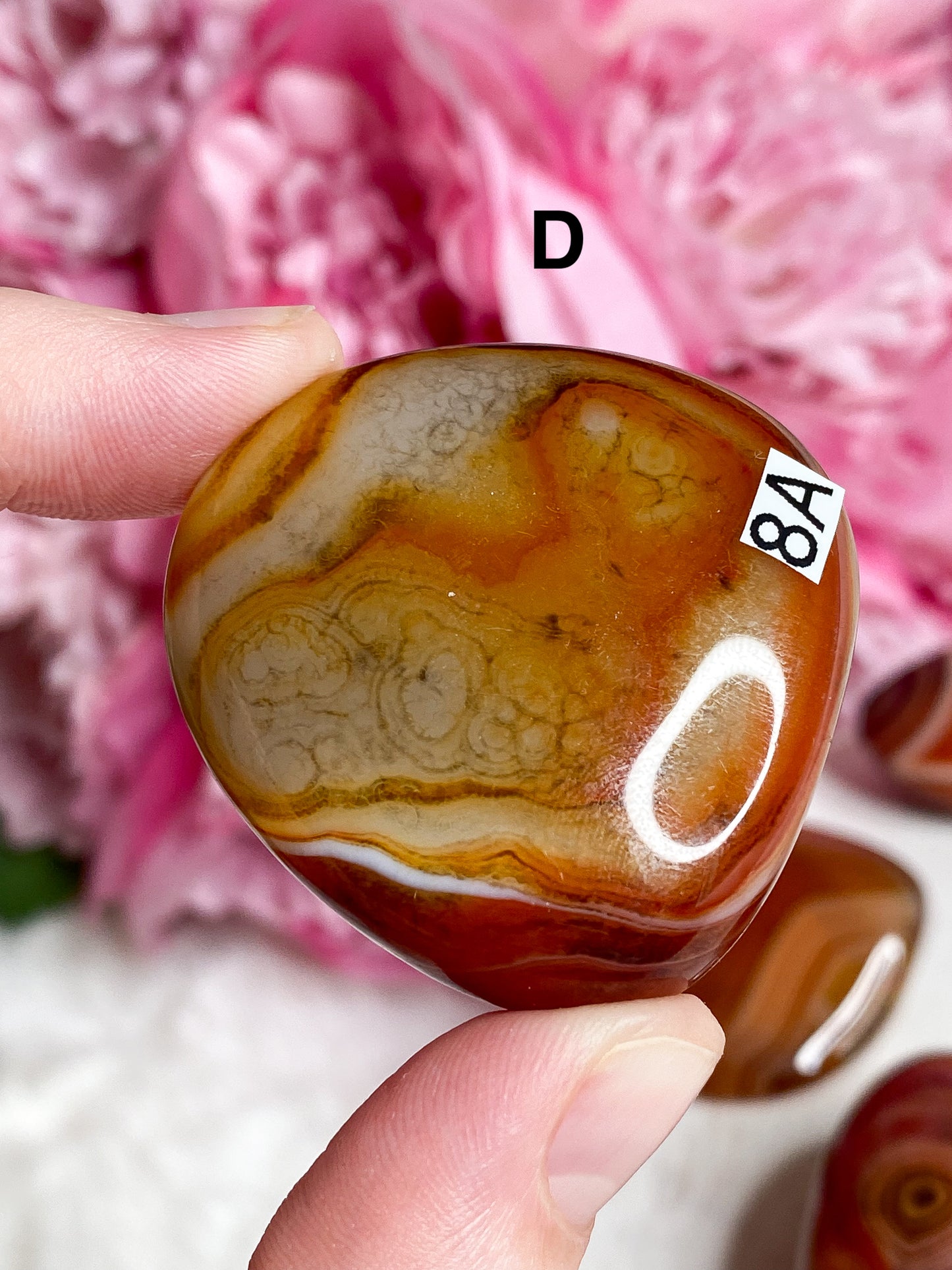 Sardonyx Palm Stone - You Choose