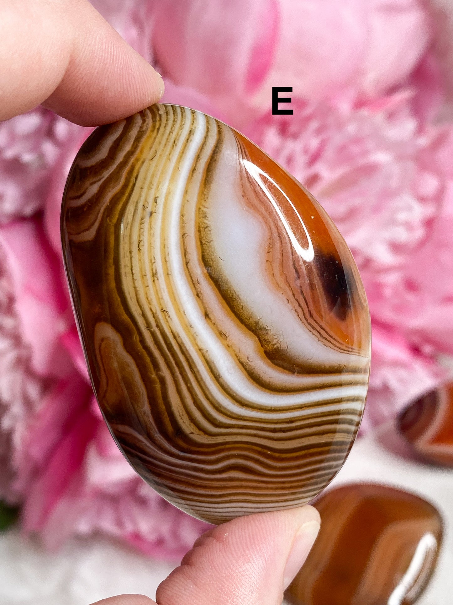 Sardonyx Palm Stone - You Choose