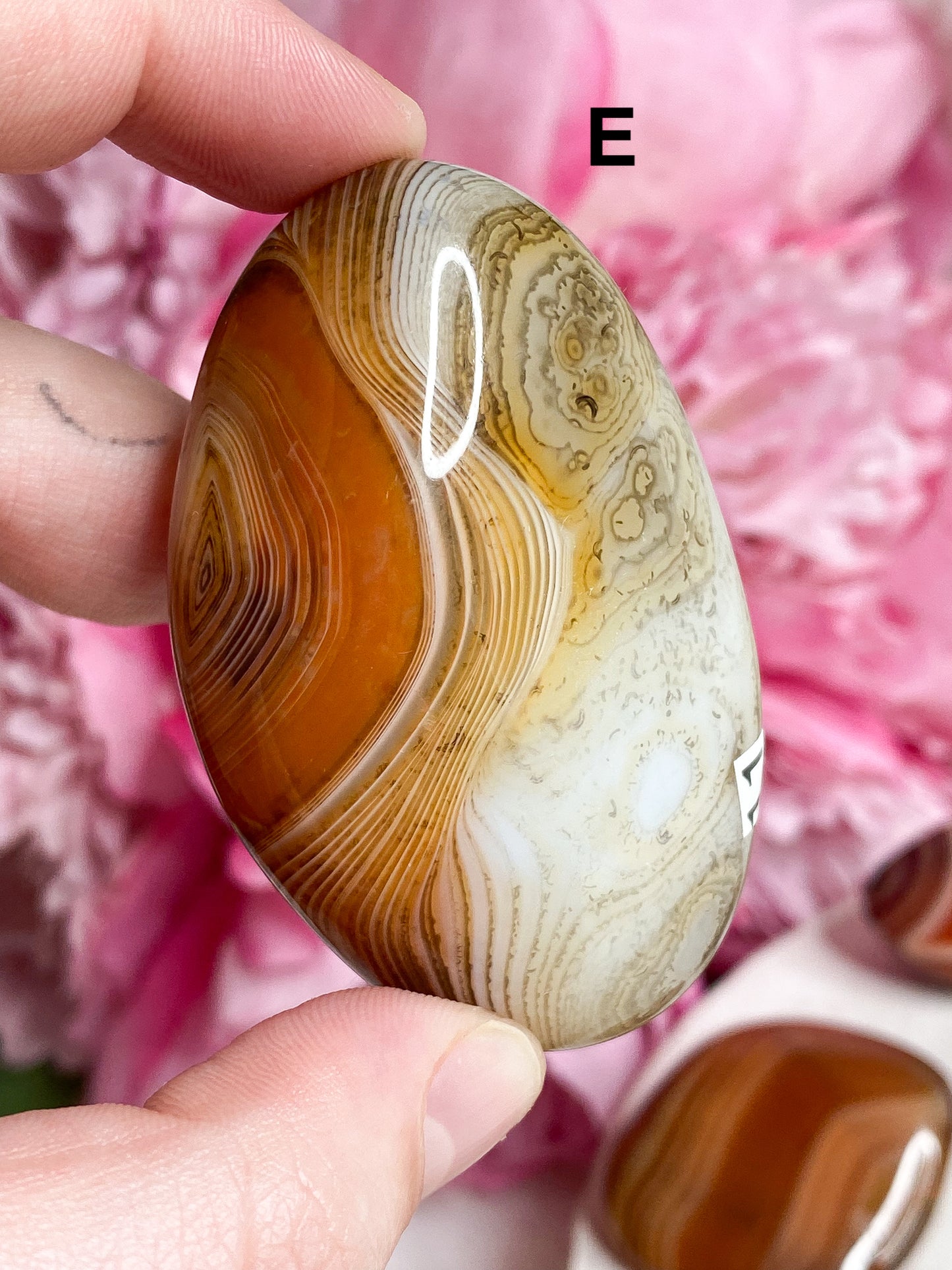 Sardonyx Palm Stone - You Choose