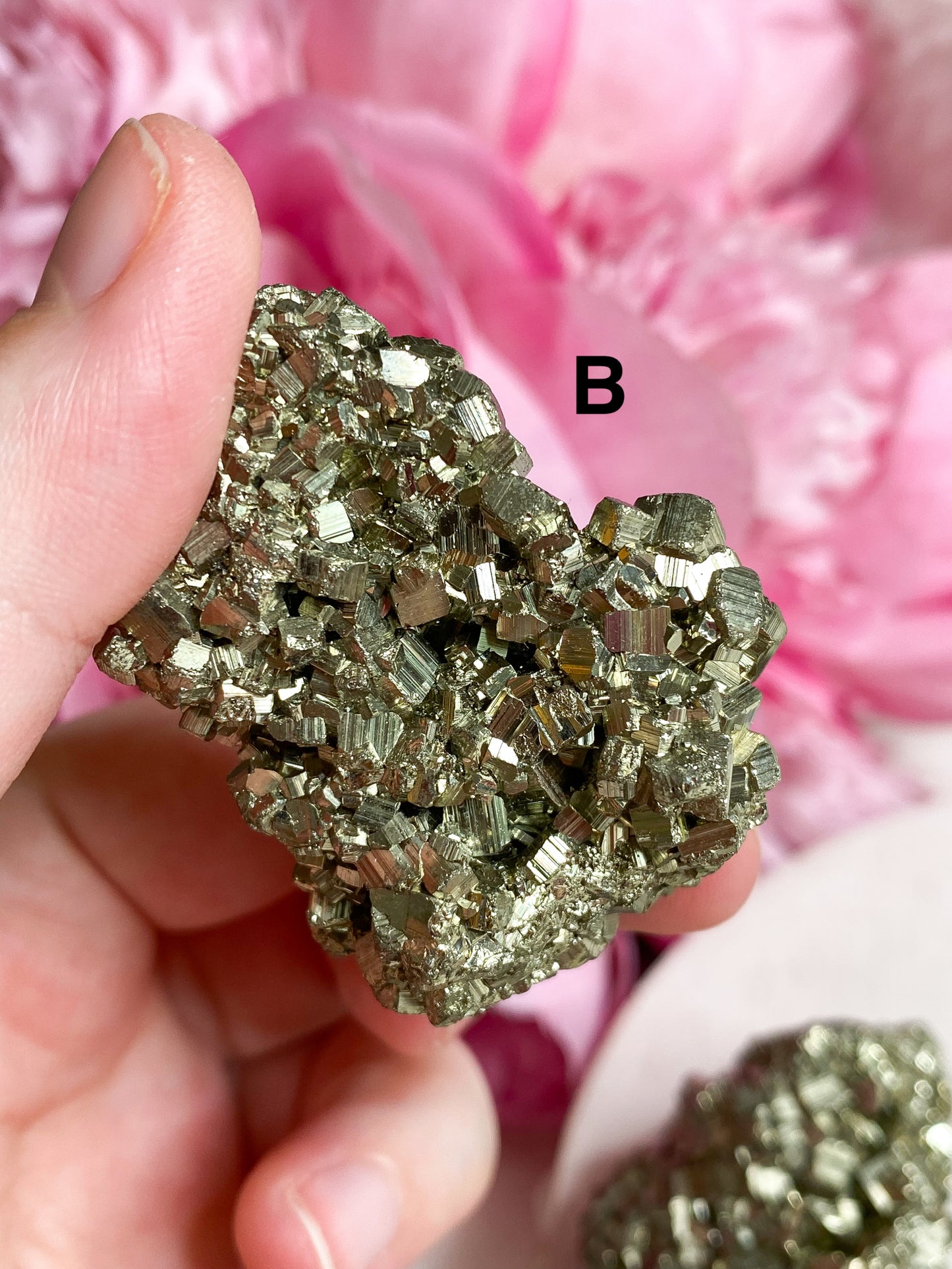 Pyrite Cluster