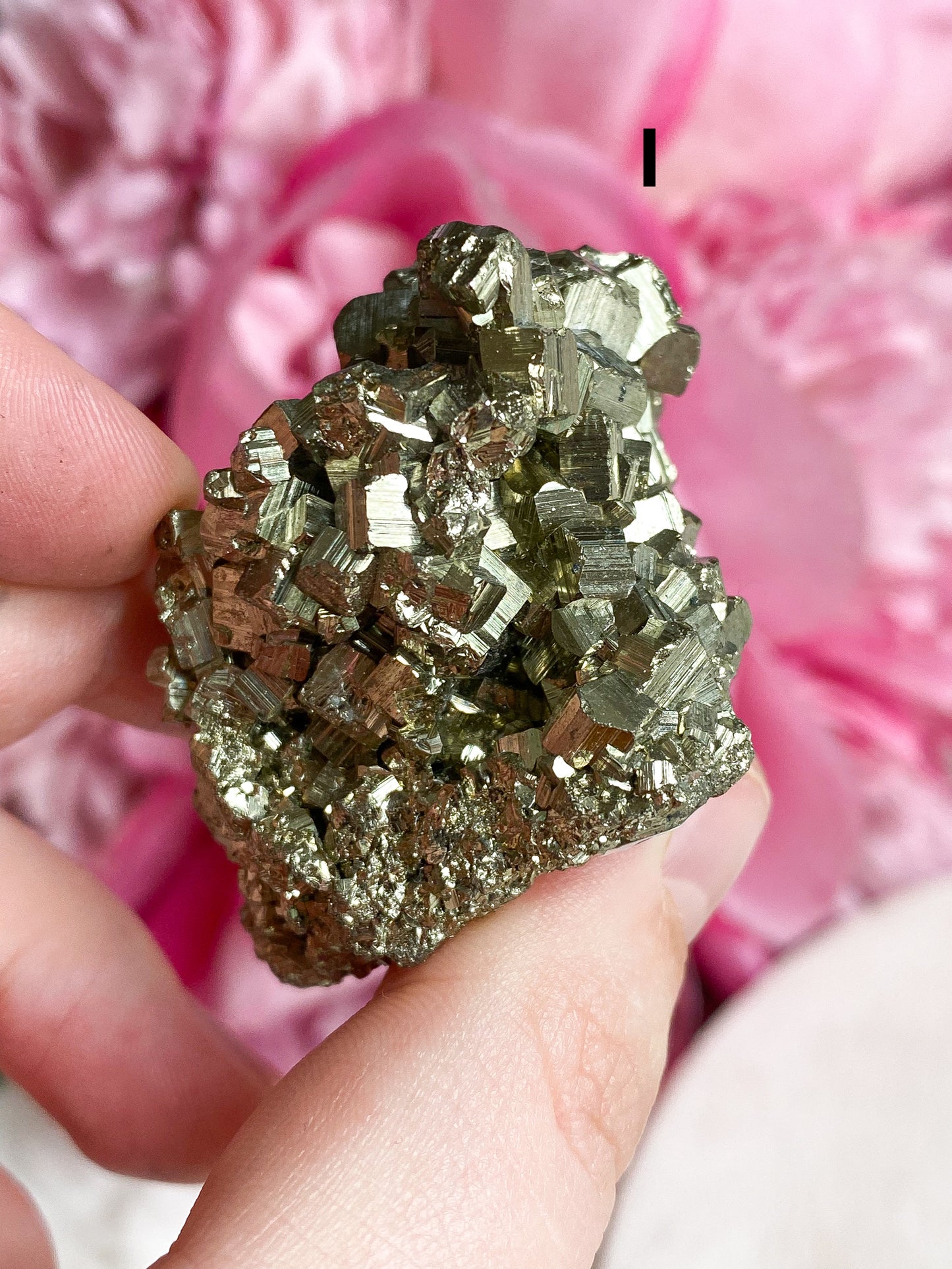 Pyrite Cluster