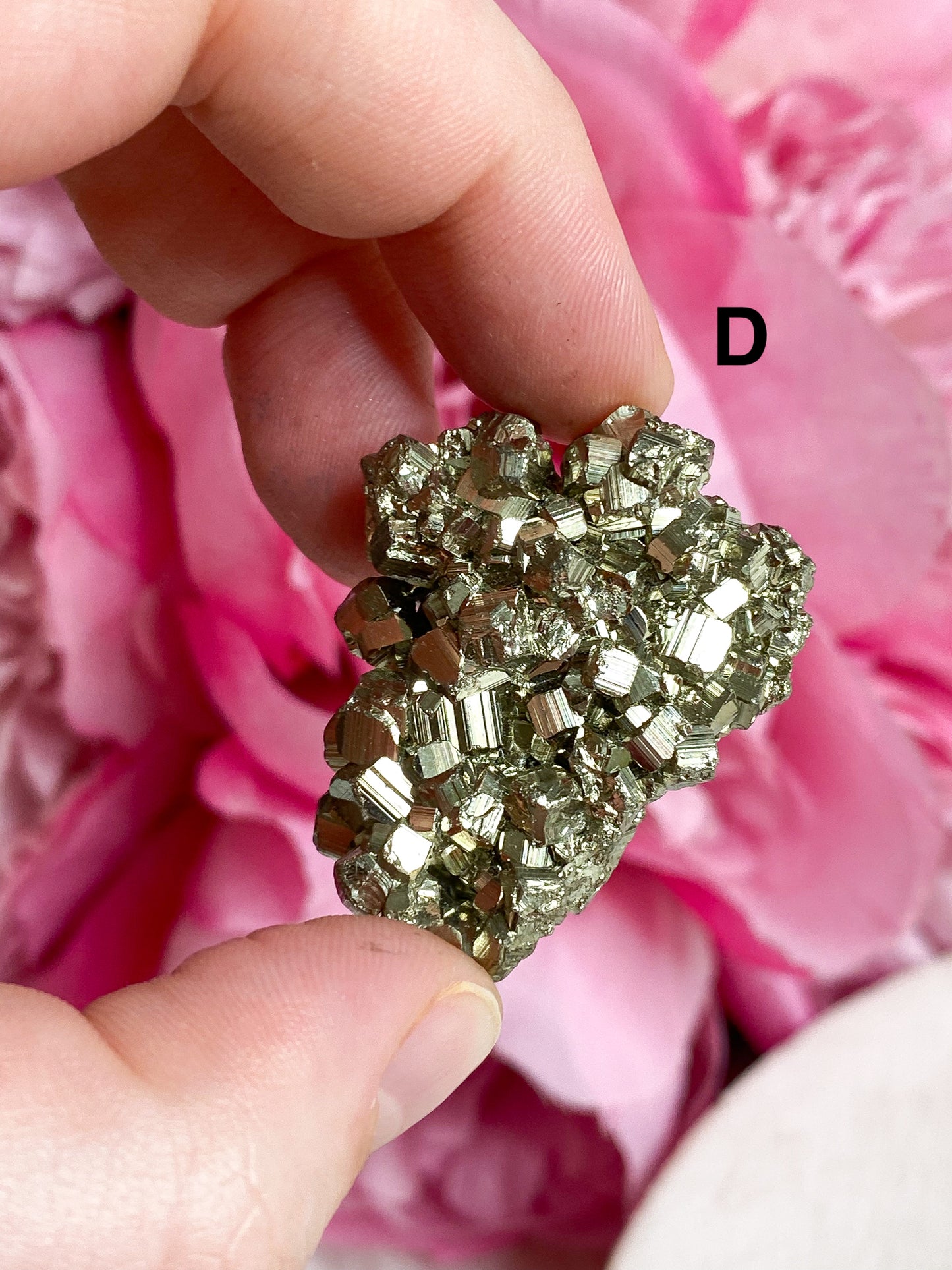 Pyrite Cluster