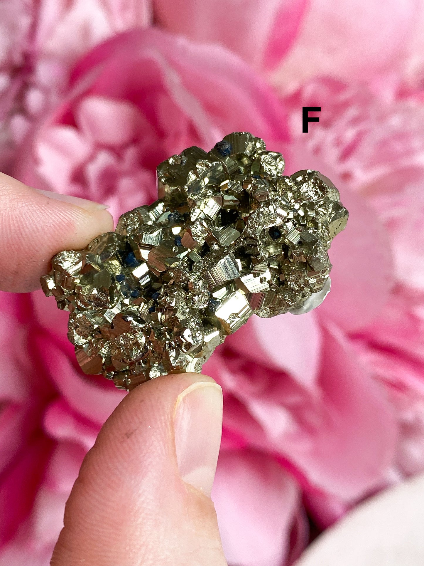 Pyrite Cluster