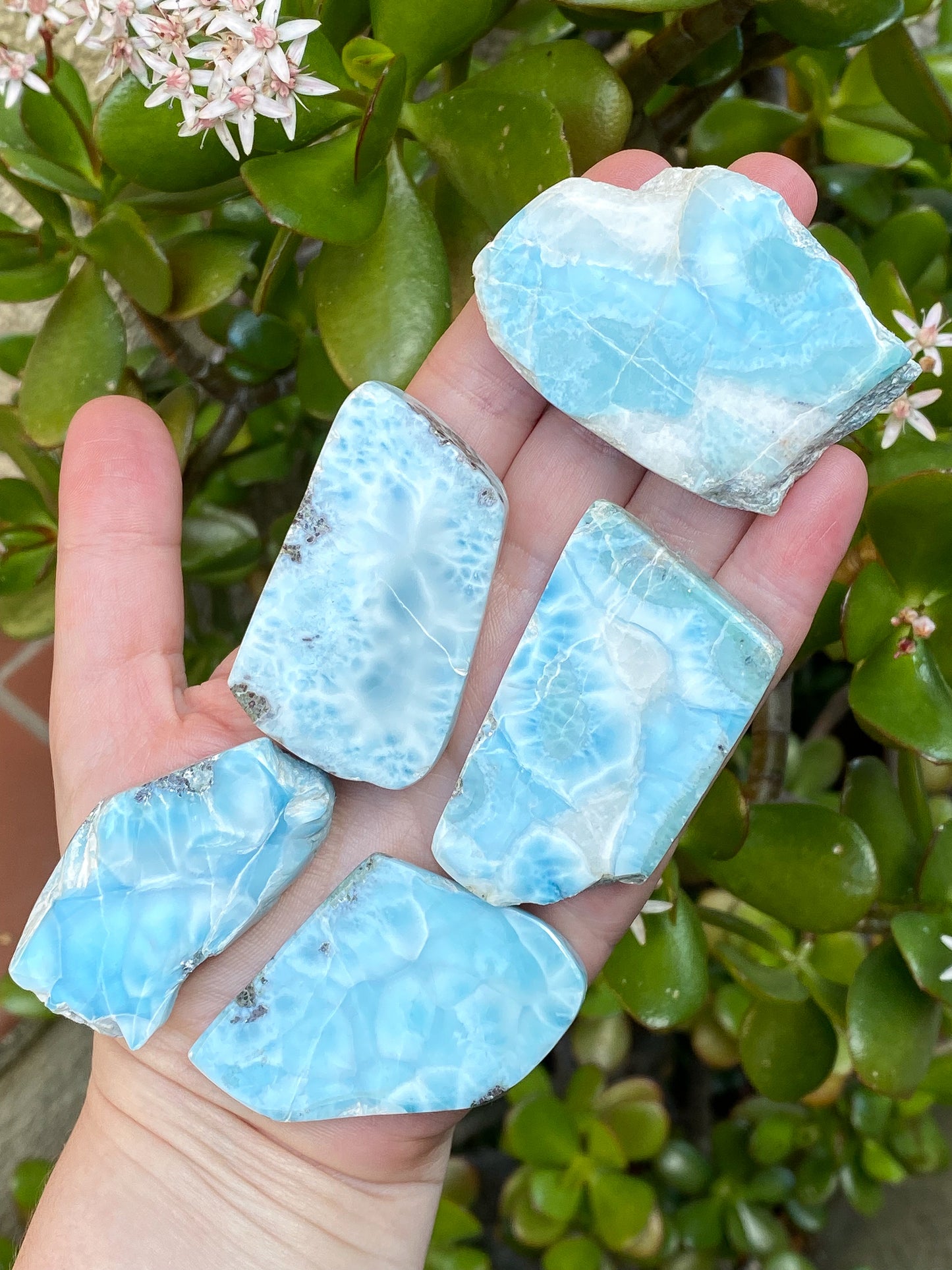 Larimar Small Slabs - You Choose